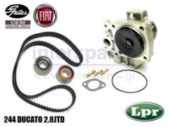 フィアット デュカート 244 DUCATO  MK2 タイミングベルト KIT & ウォーターポンプ付 セット