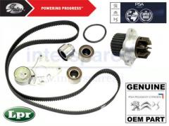 プジョー シトロエン ルノー　V6 タイミングベルトキット & ウォーターポンプ付  0831V2 1201F6